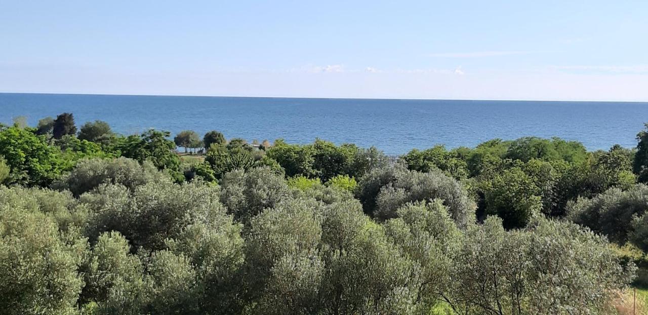 Apartment Istria Zambratija  Exteriér fotografie